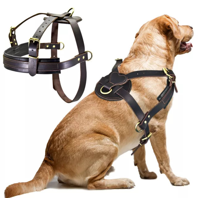 Genuine Leather Dog Harness Large Heavy Duty Strong Vest Adjustable Rottweiler