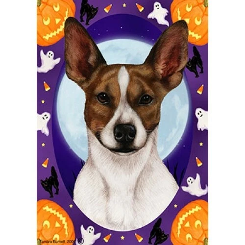 Halloween Garden Flag - Brown and White Rat Terrier 121301