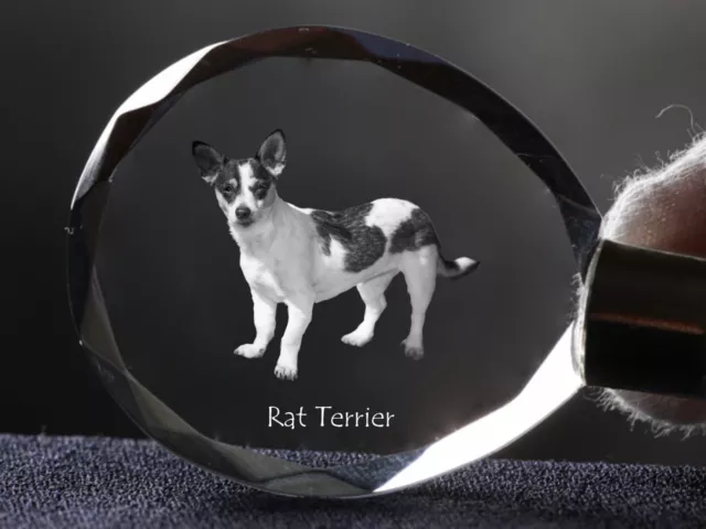 Rat Terrier, Llavero redondo de cristal con perro, Crystal Animals ES