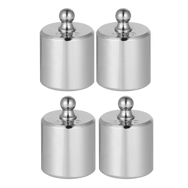 100g weight with hook Eisco Labs Double Hooked Stainless Steel 100 Grams (0.22 Lbs) with hook Double Hooked Weight Brass 100