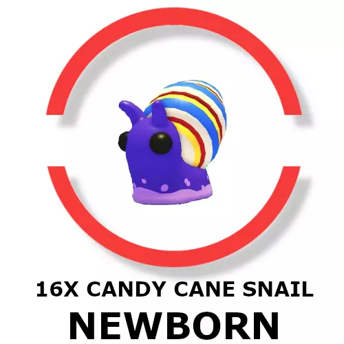 16X Candy Cane Snail Newborn For Adopt Me!