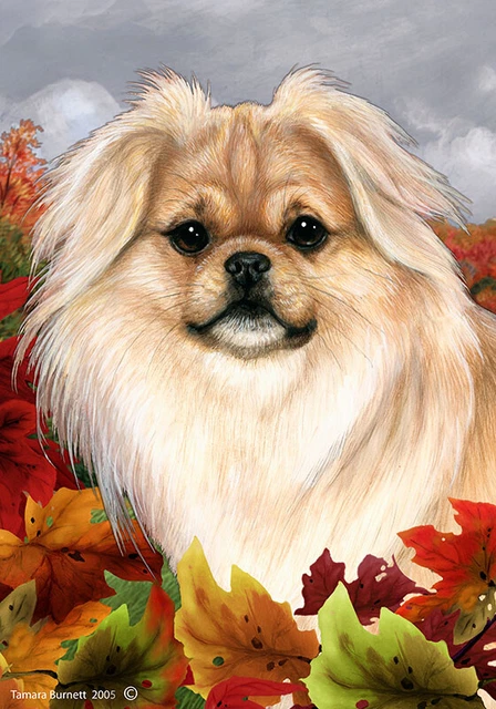 Fall Garden Flag (TB) - Cream Sable Tibetan Spaniel 134751