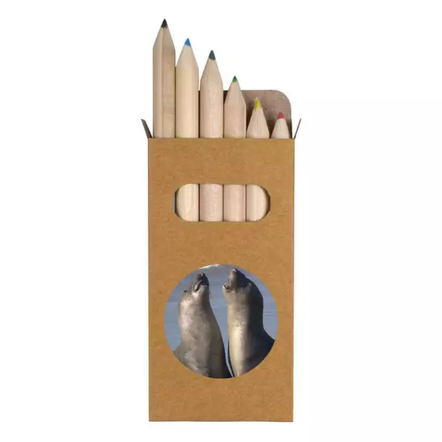 6 x 'Leones marinos' Set corto de lápices de 85 mm / lápiz de color (PE00000685)