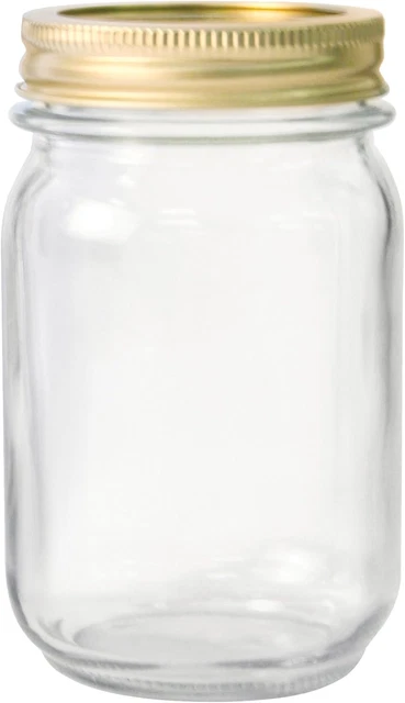 AHG17 1 Pint Home Canning Jars with Metal Lids and Rings, Clear - Pack of 12