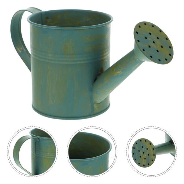 2 Pcs Succulent Vase Mister Watering Can Flowerpot Pot Plants Indoor Jug