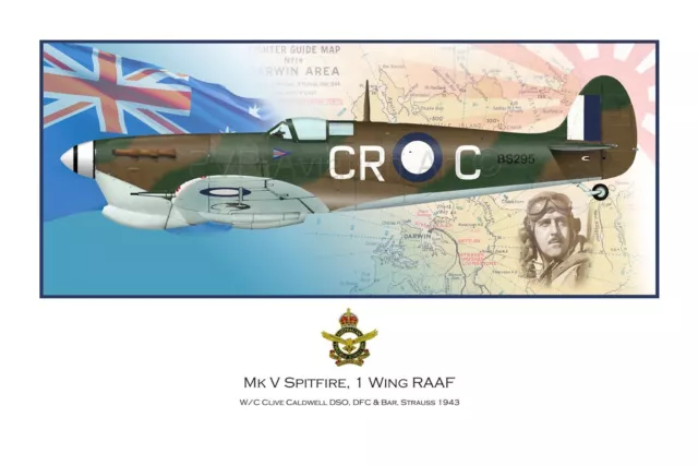 WWII WW2 RAAF MkV Spitfire Aviation Art Profile Photo Print - #2 of 3