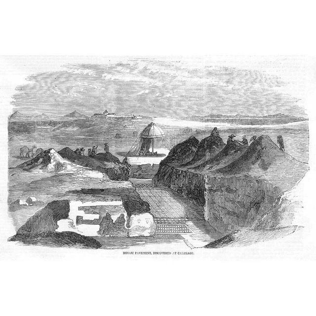 TUNISIA Mosaic Pavement Discovered at Carthage - Antique Print 1858