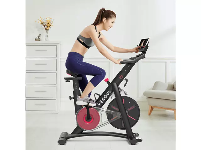 YESOUL S3 Smart Indoor Cycle, Schwarz Home Trainer Fahrrad