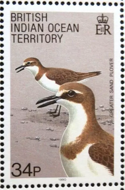 BRITISH INDIAN OCEAN TERRITORY 1990 SG94 34p. BIRDS - GREAT SAND PLOVER - MNH