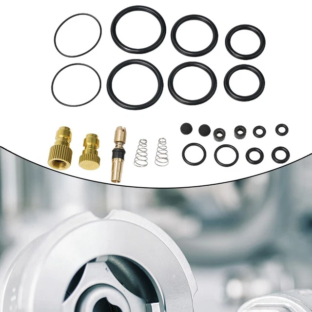 Set di ricambio pompa set 20 pz/set pistone Ptfe 30mpa 4500PSI pratico