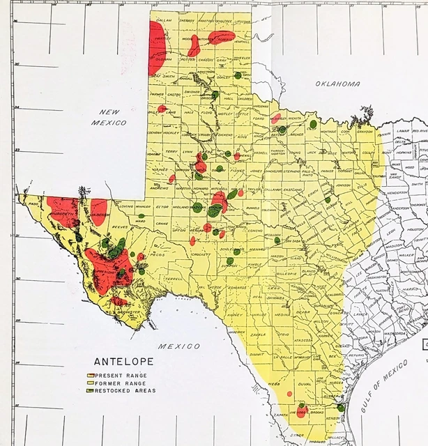 1945 Texas Map Antelope Range Counties Bexar Travis Harris Dallas Tarrant