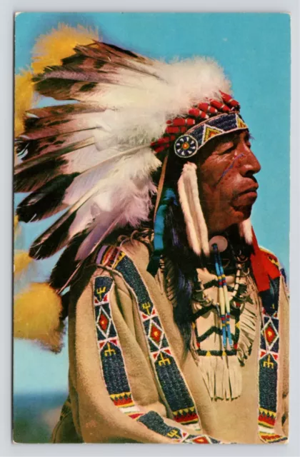 Native American Chief Black Elk Battle of Little Big Horn VTG Unused Postcard