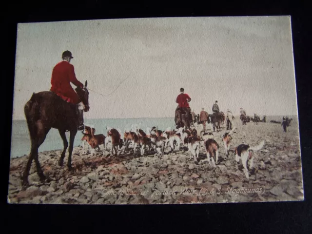 Vintage/Porlock Weir/hunting/staghounds/Dorset & Somerset/sport/postcard