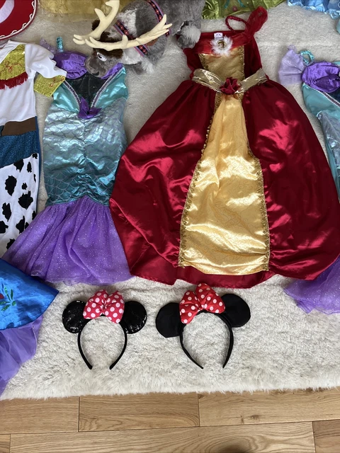 Pacchetto costumi fantasia principessa Disney X 11 età 5-6 + 7-8 accessori 12