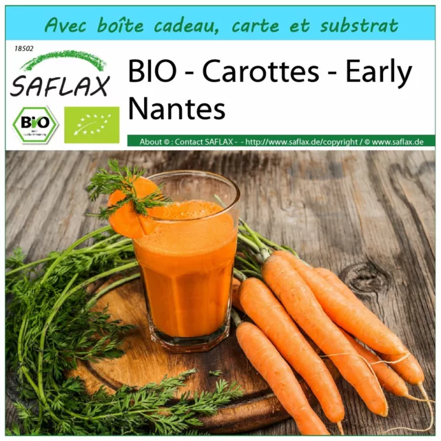 SAFLAX Kit cadeau - BIO - Carottes - Early Nantes - 1500 graines - Daucus