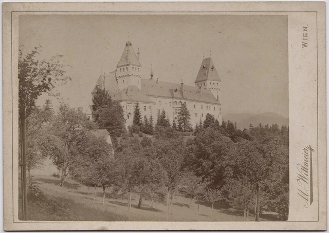 Original 1880er Kab. Karte Burg Wartenstein, Niederösterreich, von N. Wittmeier