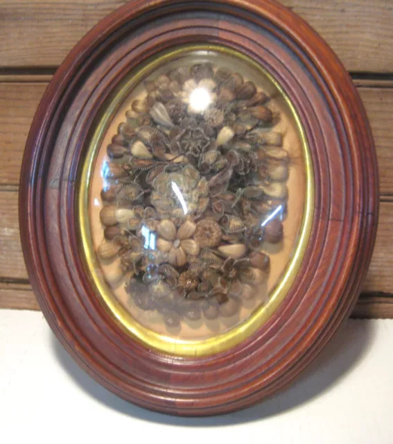 Victorian Mourning Human Hair Art Oval Shadow Box Walnut Framed