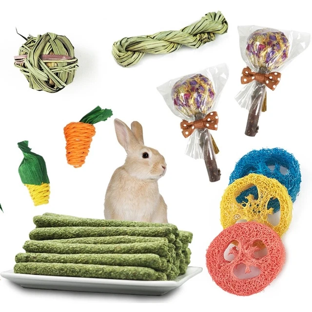 14 pezzi/set snack molari interattivi allenamento denti animali domestici per cincillà 2