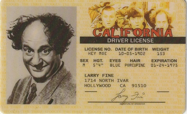 Fine For Fake Id Uk