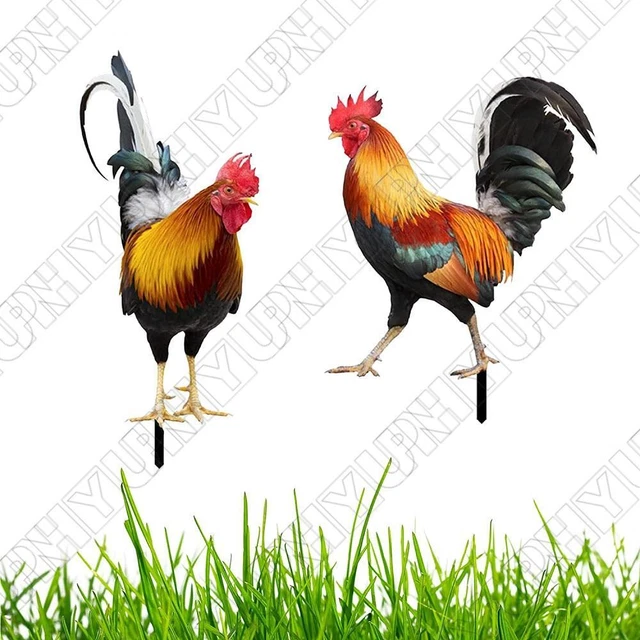 2 Ã Hahn Huhn Statue fÃ1⁄4r Outdoor Garten Hof Dekoration Kunst Figur Skulptur