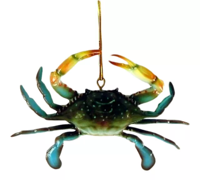 Coastal Maryland Blue Crab 6 Inch Three Dimensional Resin Ornament