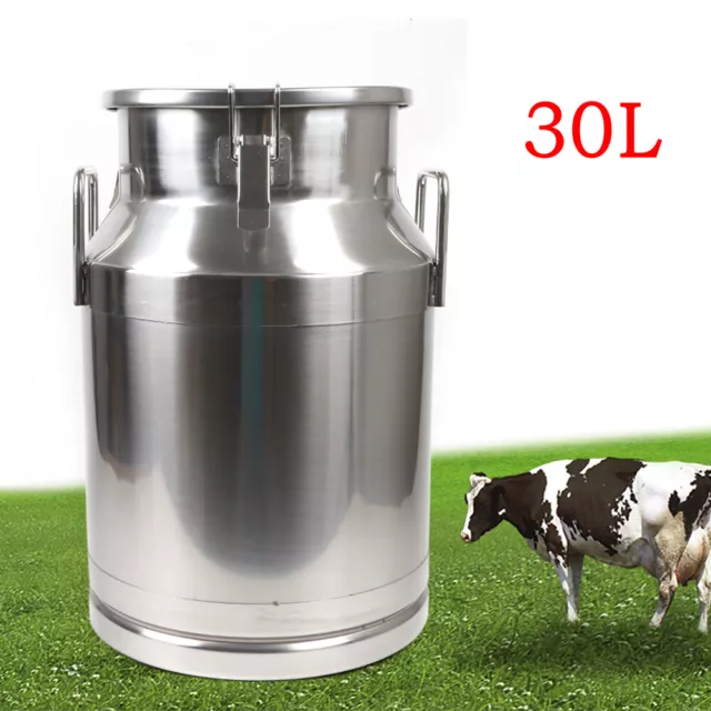 Rural365 Metal Milk Jug, 4 Liter (1 Gal) - Stainless Steel Milk Cans with  Lid