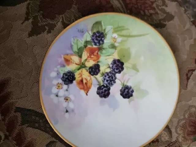 Vintage 5 inch Hand Painted Floral/Fruit Patterne Plate. Gold Rim Adds Elegance