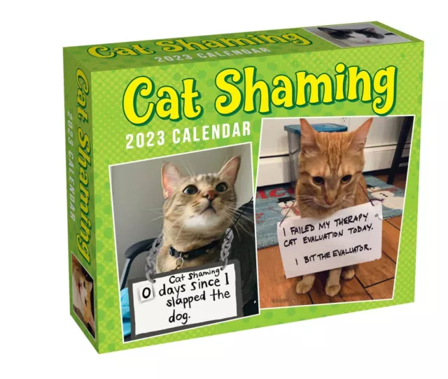 ANDREWS MCMEEL CAT Shaming 2023 DaytoDay Calendar w 16.99 PicClick