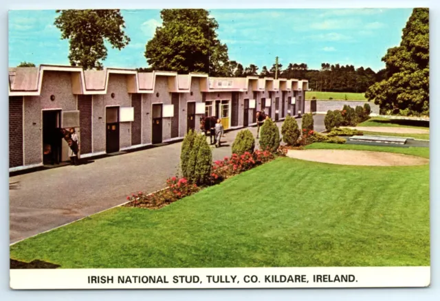 VINTAGE POSTCARD Ireland, Irish National Stud, Tully, County Kildare, horses