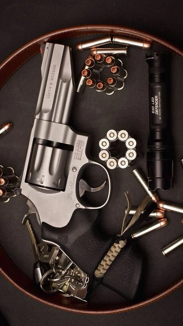 PLAQUE EN METAL PSTOLET REVOLVER ARME A FEU 30 X 20 CM | eBay