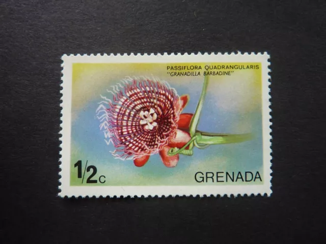 GRENADA 1975 1/2c Granadilla FLOWER stamp S.G. 678 MNH - Passiflora - THEMATIC