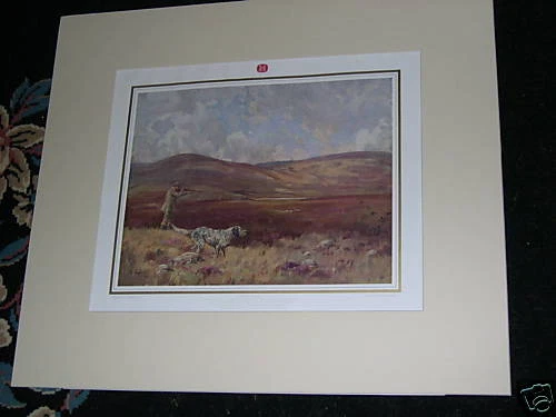 Large Antique English Setter Gundog Dog Picture
