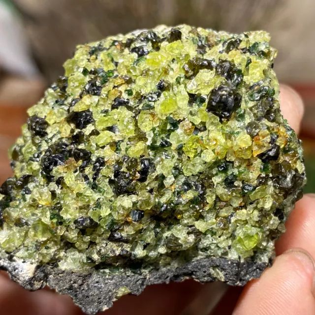 97g Natural Green Olivine Peridot Basalt Crystal Gemstone Rough Reiki Specimen