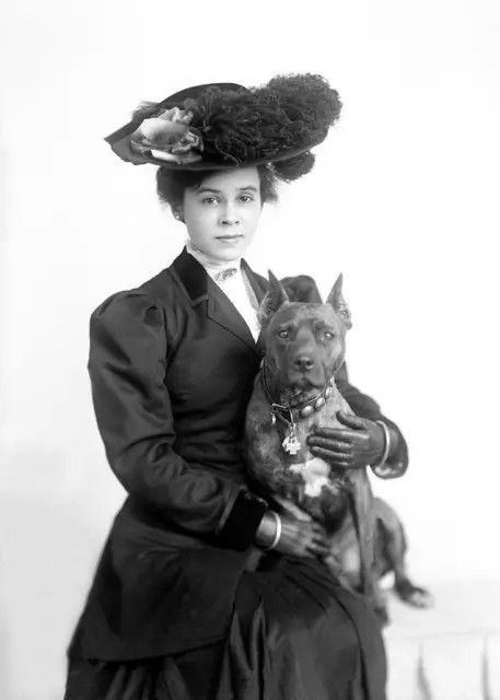 Victorian Era... Woman Holding a Bulldog c.1900s ... Photo Reprint 5x7