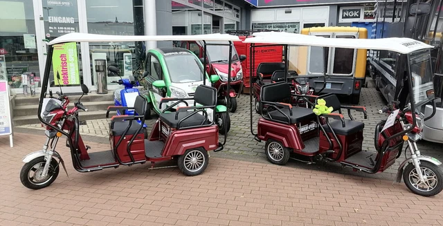 E-Rikscha Elektro MAX BEN QUAD TRIKE Grand Extra BOB UTV Geco Aixam Frosch NEU