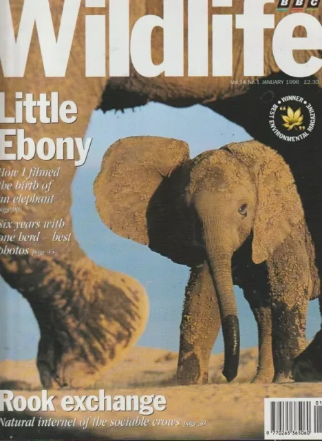 BBC Wildlife Magazine - JAN 1996 - KLEINES EBENHOLZ.