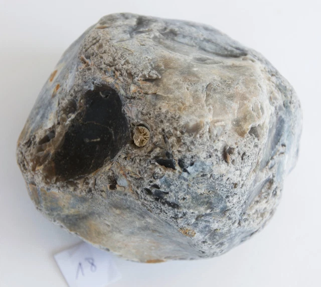 2,4 kg FEUERSTEIN Flint KNAPPING Aquarium FLINTSTEIN Steinzeit SILEX Stein #18
