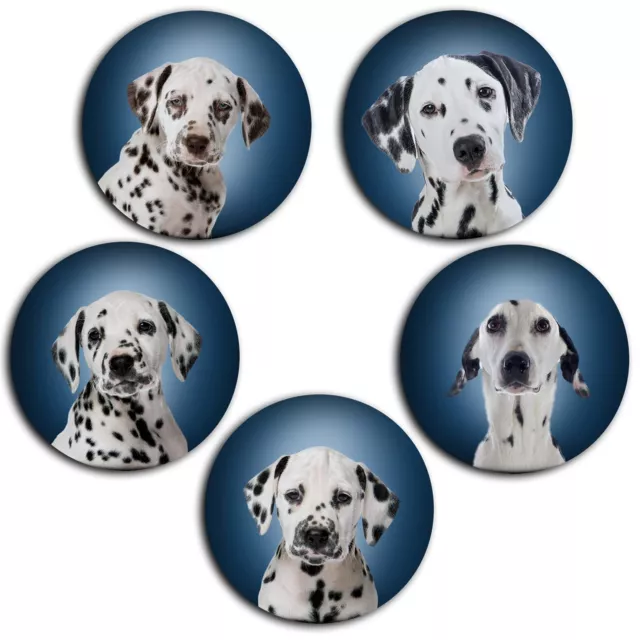 Dalmatiner Hund - 5 Kühlschrankmagnete Ø 45 mm freie Auswahl verschiedene Farben
