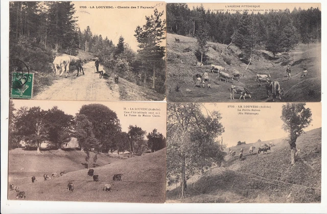 Lot 4 cartes postales anciennes ARDECHE LA LOUVESC 7