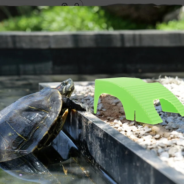 Piattaforma di Esposizione per Tartarughe d'Acquario, Rampe