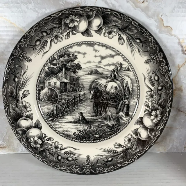 Royal Stafford Hayride Black Dinner Plate 11” Fine Earthenware England. Excellnt