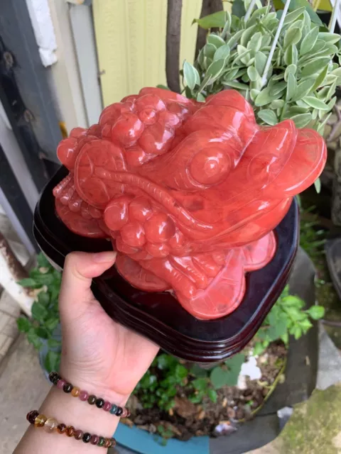 Red Obsidian gemstone hand carved Toad,Fengshui symbol bring Luck&Fortune,7lbs