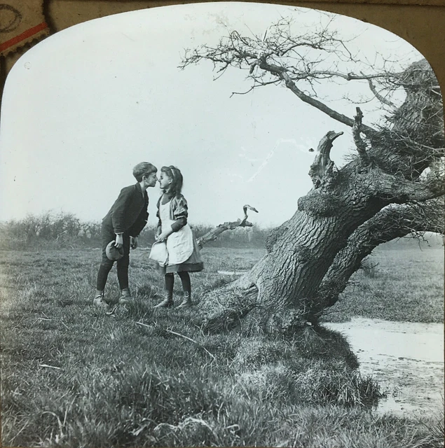 EDWARDIAN BOY & GIRL, Tree, Romanticism, Photographic Magic Lantern Slide, 1900s