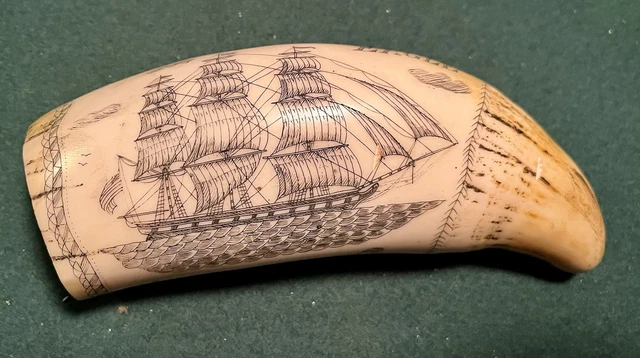 Scrimshaw Sperm Whale Tooth Replica - Resin Reproduction, Nassau 1835 Design, Decorative Collectible
