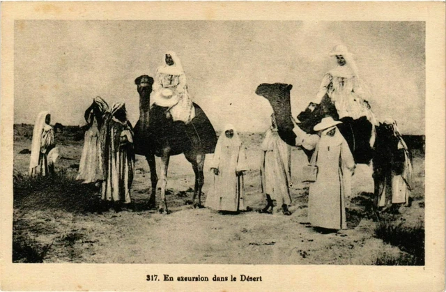 CPA AK En exeursion dans le Désert ALGERIE (831932)