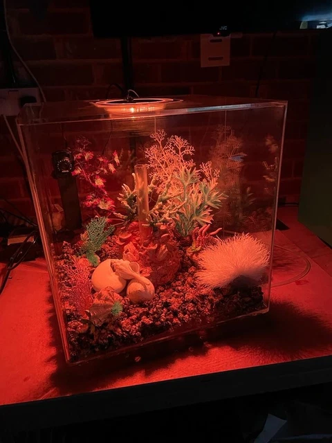 BiOrb CUBE 60L Complete Aquarium Fish Tank MCR LED - Clear 12