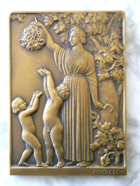 Médaille Rectangulaire Alexandre Dreux Par A. Finot - Bronze Signé Avec Boîte