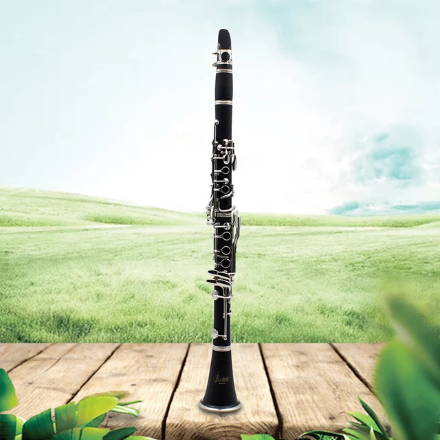Bb Clarinet 17 Keys with Case Woodwind Instrument Barrels/Reeds (Black)