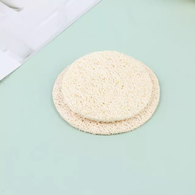 10pcs/Set Natural Loofah Sponge Face Body Exfoliator Scrubber Cleansing PaLNTJI