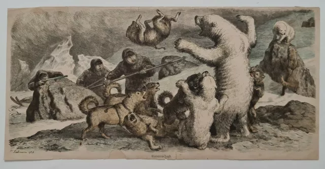 La chasse de l'ours polaire H. Leutemann 1878 Estampe en couleur Animaux